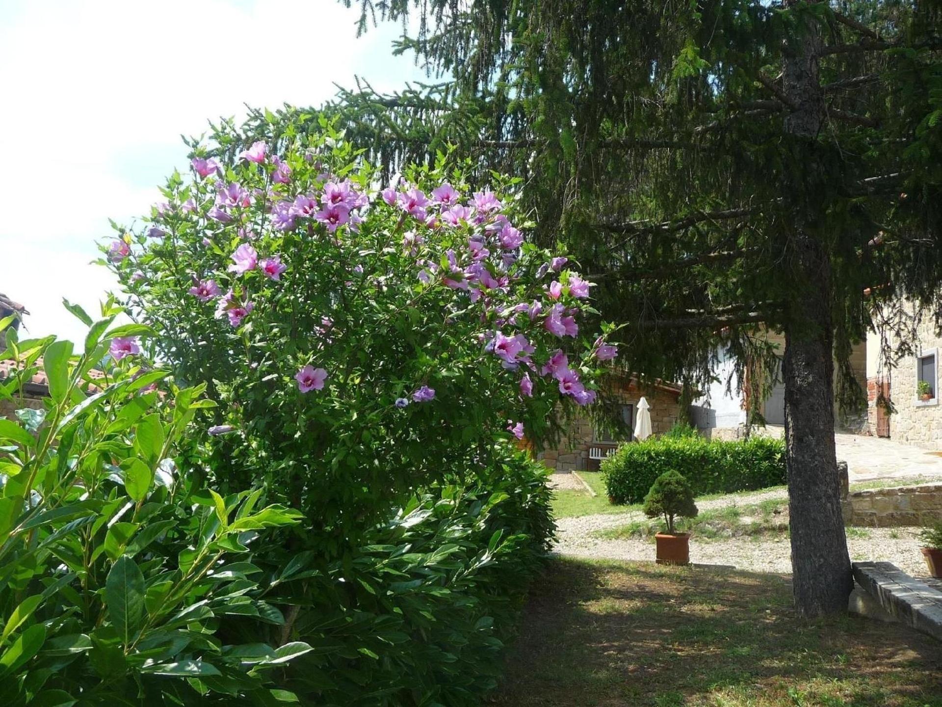 Rustikales Natursteinhaus In Der Toskana Mit Gemeinschaftlichem Garten Und Pool Villa Pratovecchio Exterior foto